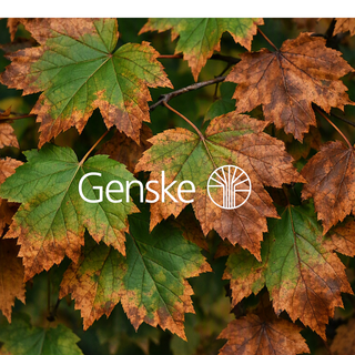 08. November 2026 | Herbstfest
